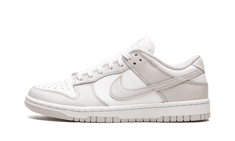 NIKE DUNK LOW VENICE (W)